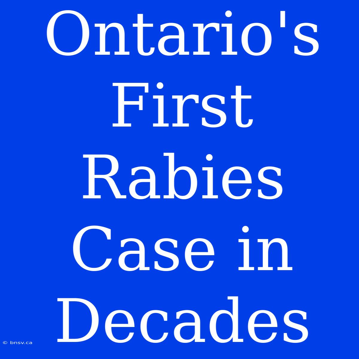 Ontario's First Rabies Case In Decades