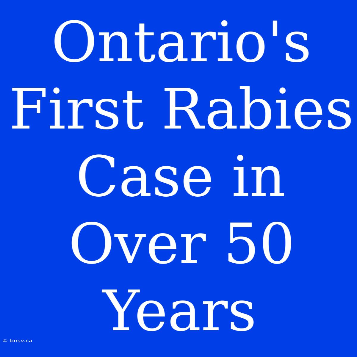 Ontario's First Rabies Case In Over 50 Years