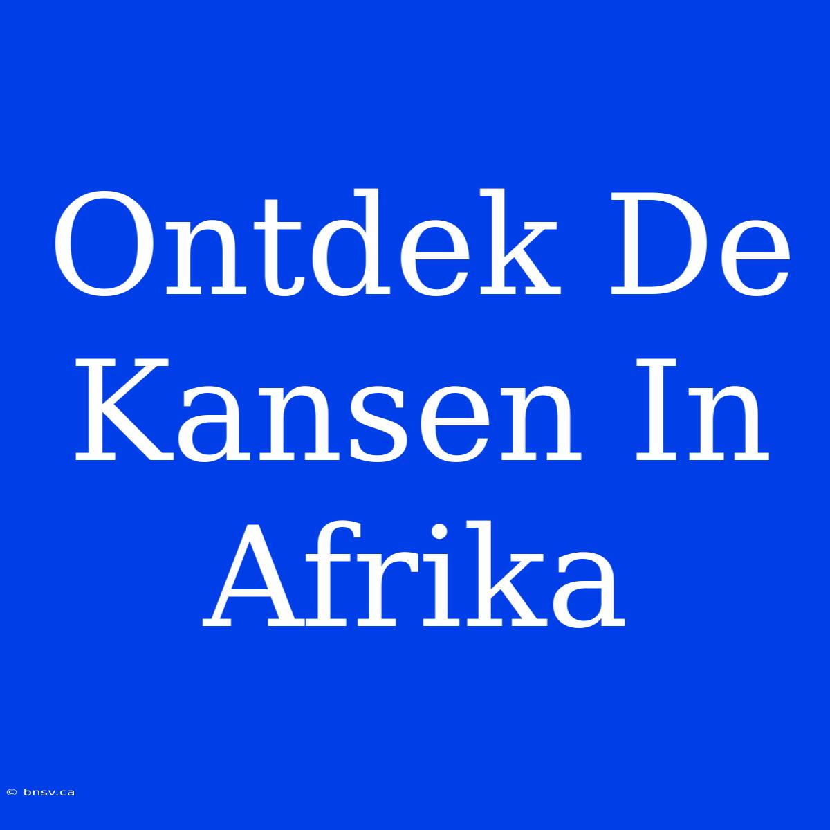 Ontdek De Kansen In Afrika