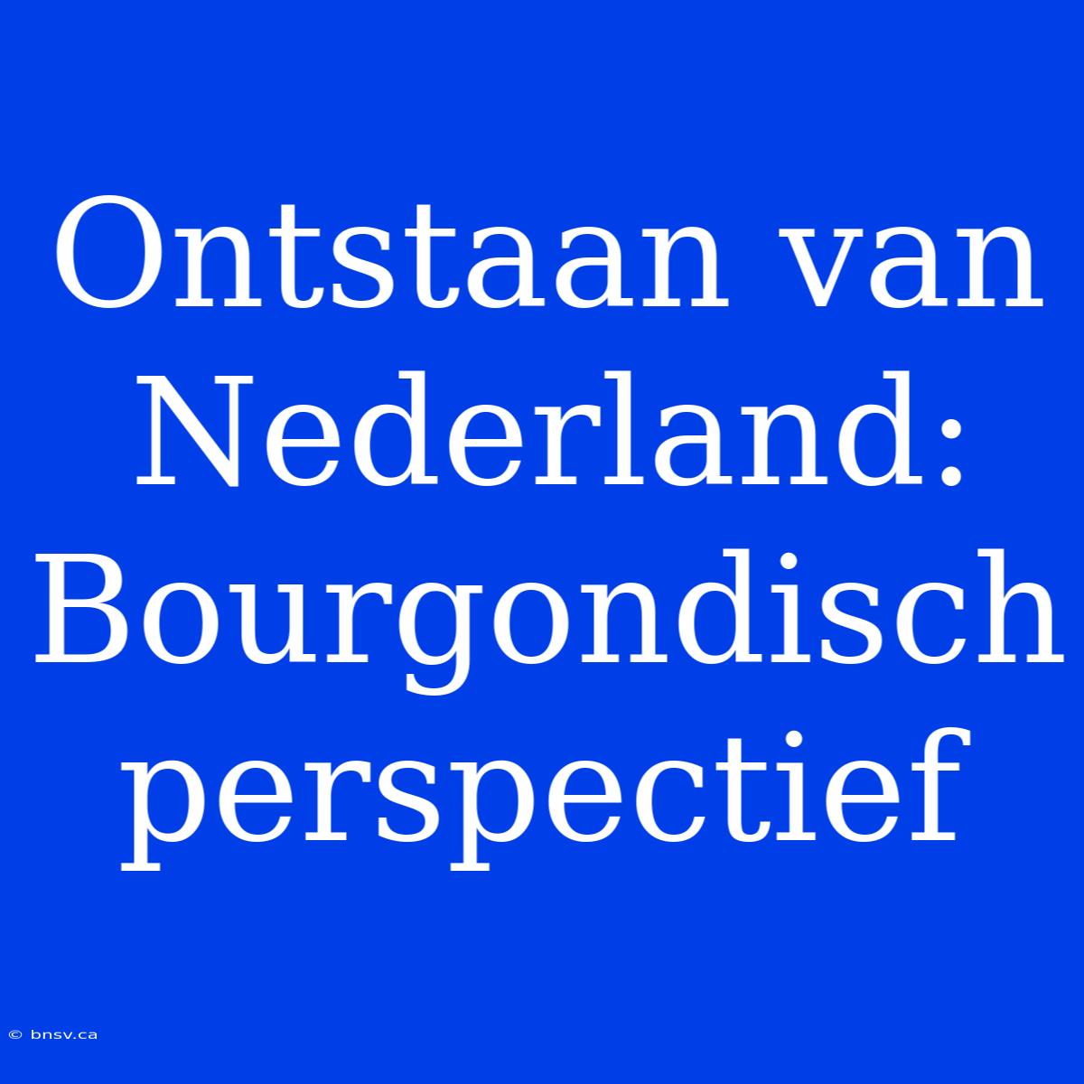 Ontstaan Van Nederland: Bourgondisch Perspectief