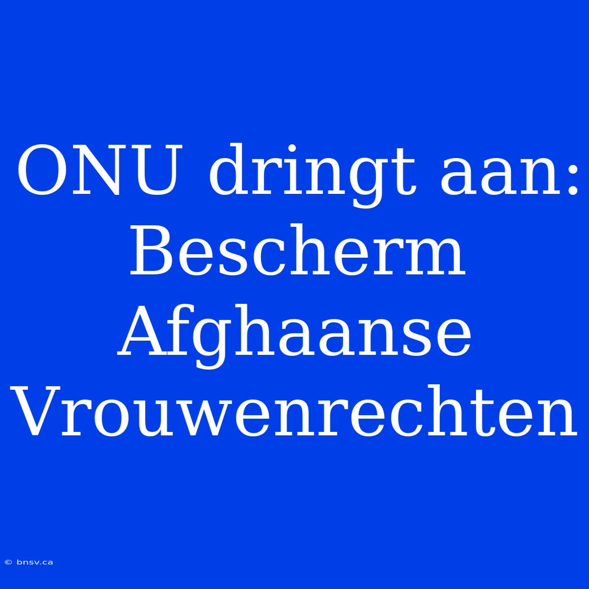 ONU Dringt Aan: Bescherm Afghaanse Vrouwenrechten