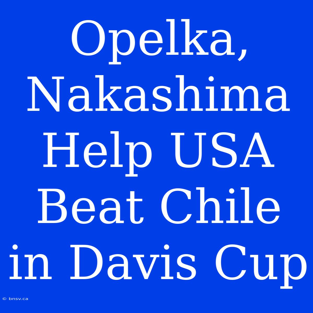 Opelka, Nakashima Help USA Beat Chile In Davis Cup