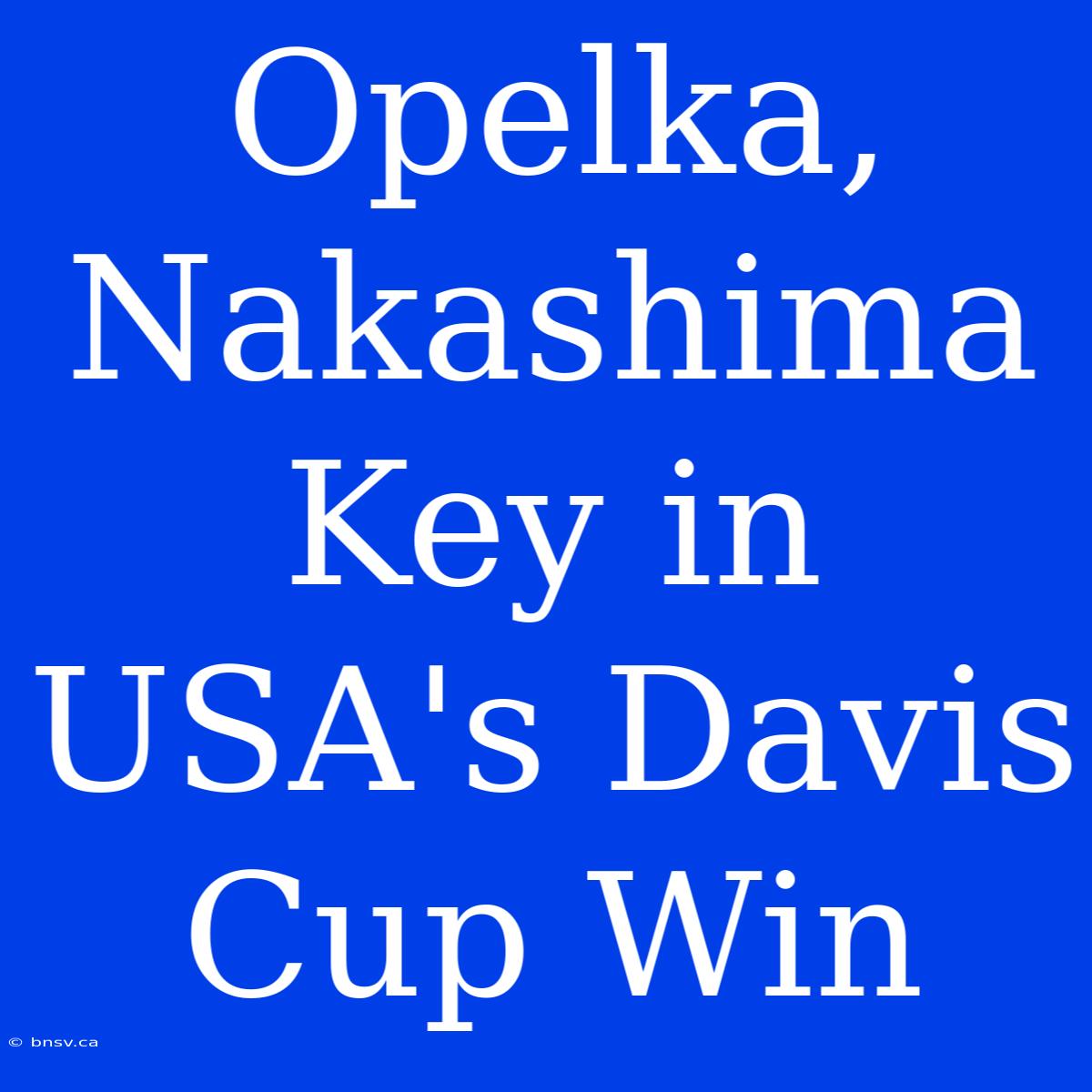 Opelka, Nakashima Key In USA's Davis Cup Win