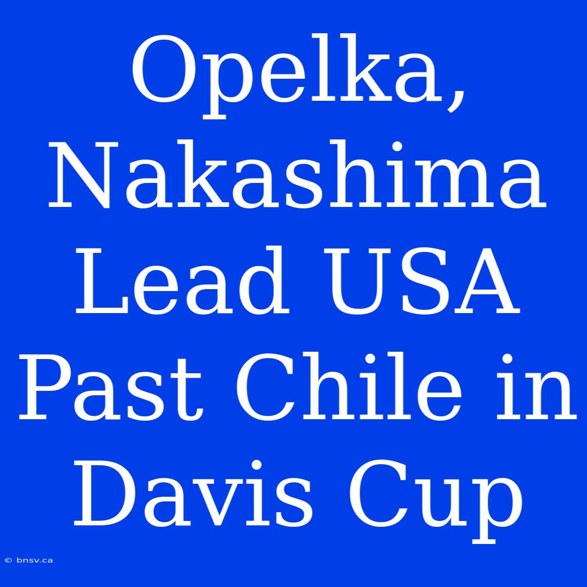 Opelka, Nakashima Lead USA Past Chile In Davis Cup