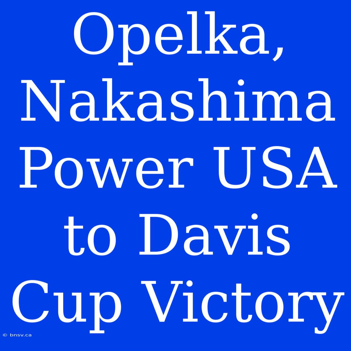 Opelka, Nakashima Power USA To Davis Cup Victory