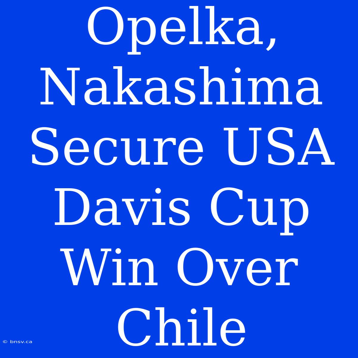 Opelka, Nakashima Secure USA Davis Cup Win Over Chile