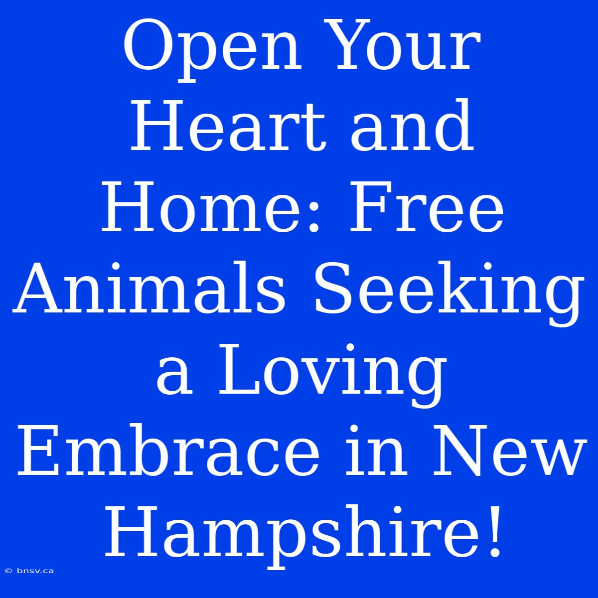 Open Your Heart And Home: Free Animals Seeking A Loving Embrace In New Hampshire!