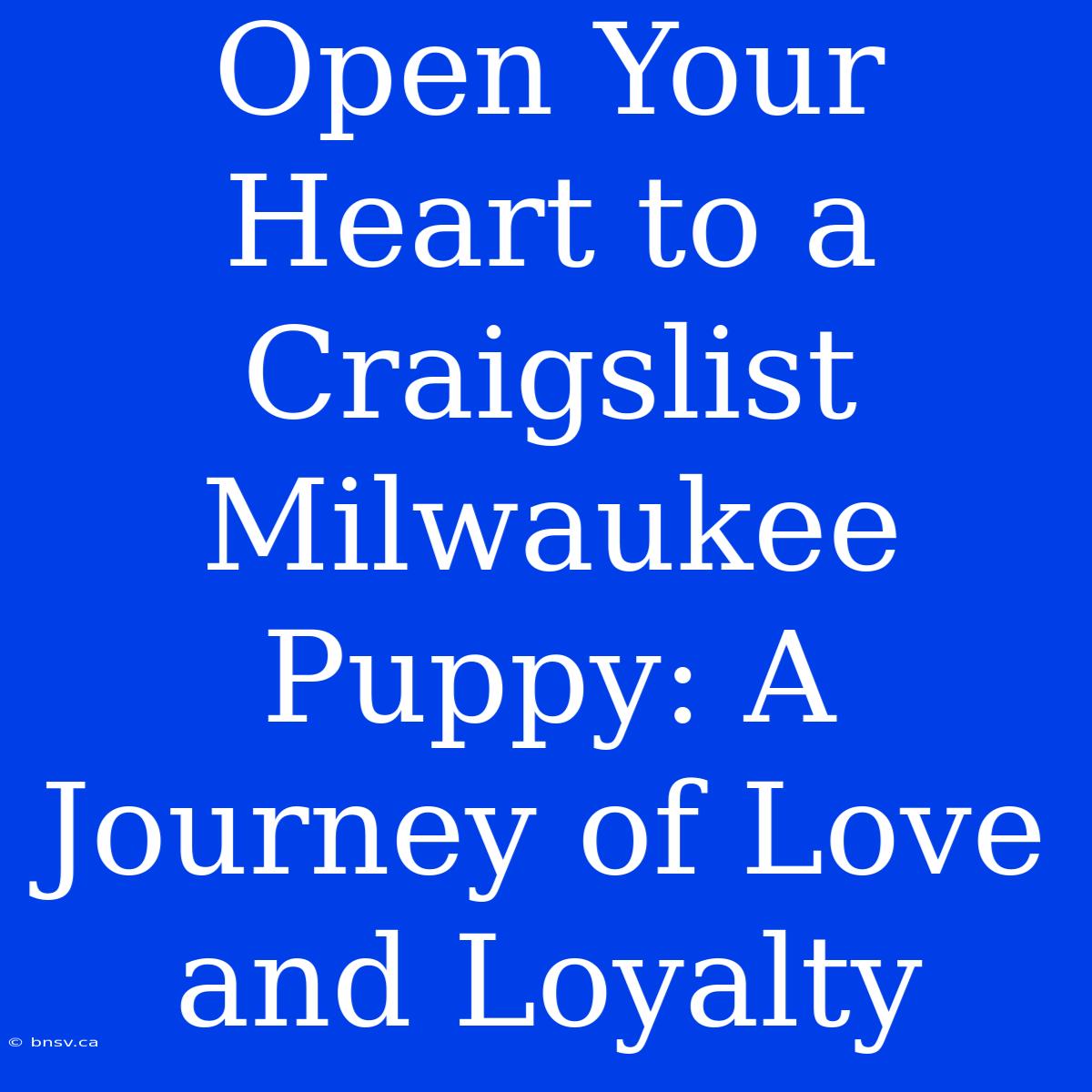 Open Your Heart To A Craigslist Milwaukee Puppy: A Journey Of Love And Loyalty