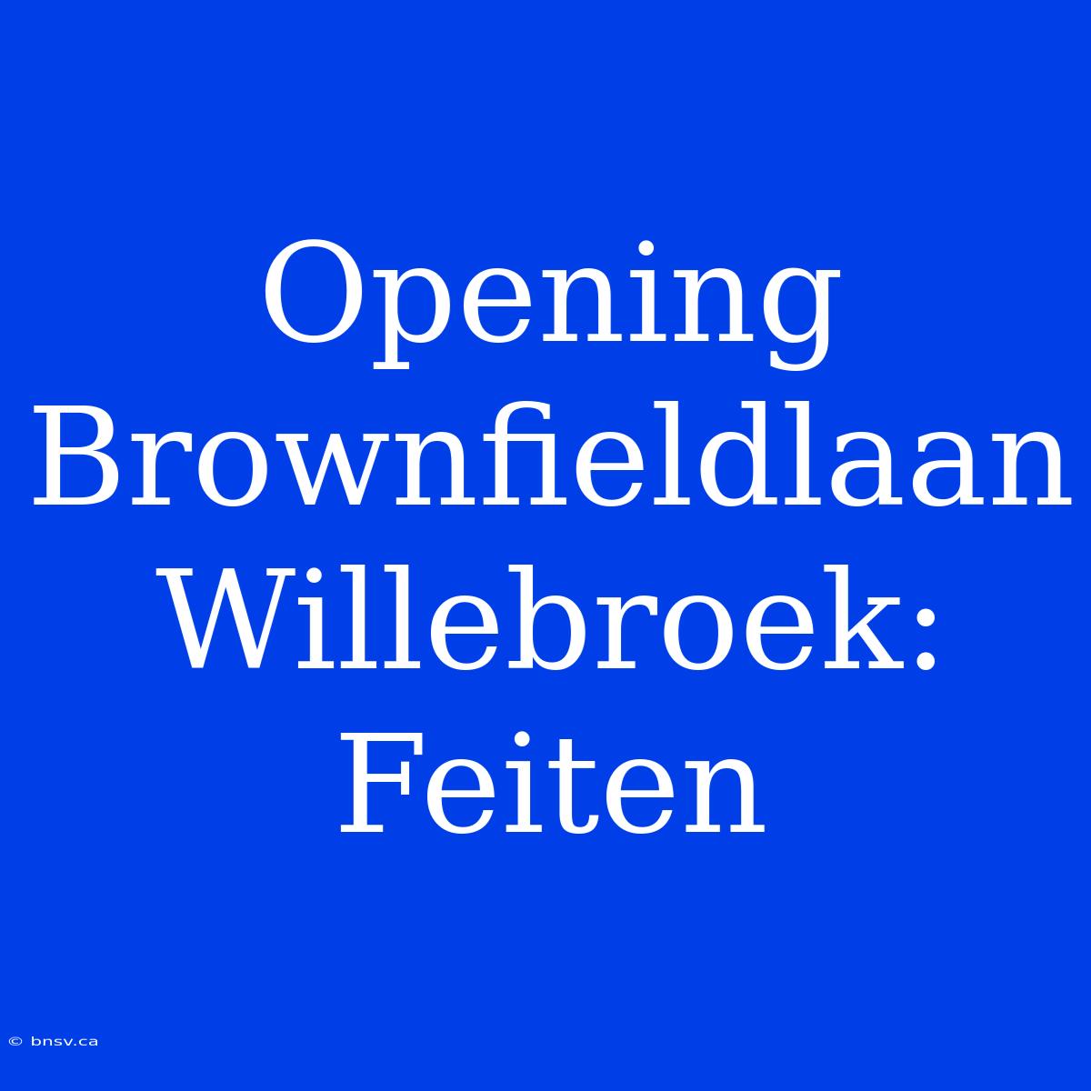 Opening Brownfieldlaan Willebroek: Feiten