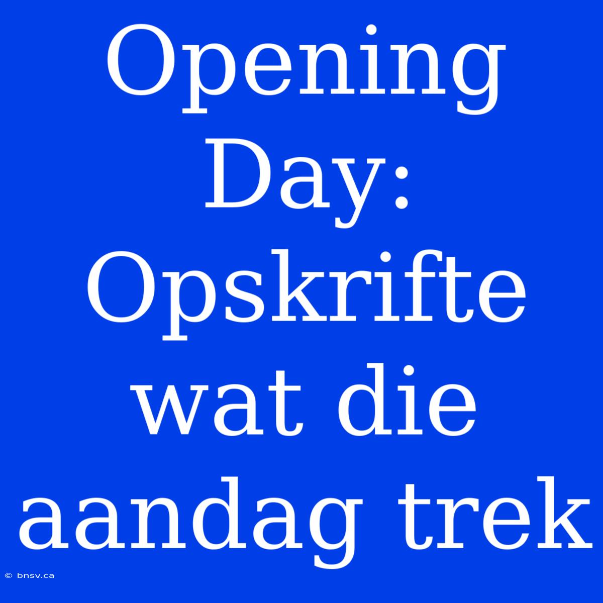 Opening Day: Opskrifte Wat Die Aandag Trek