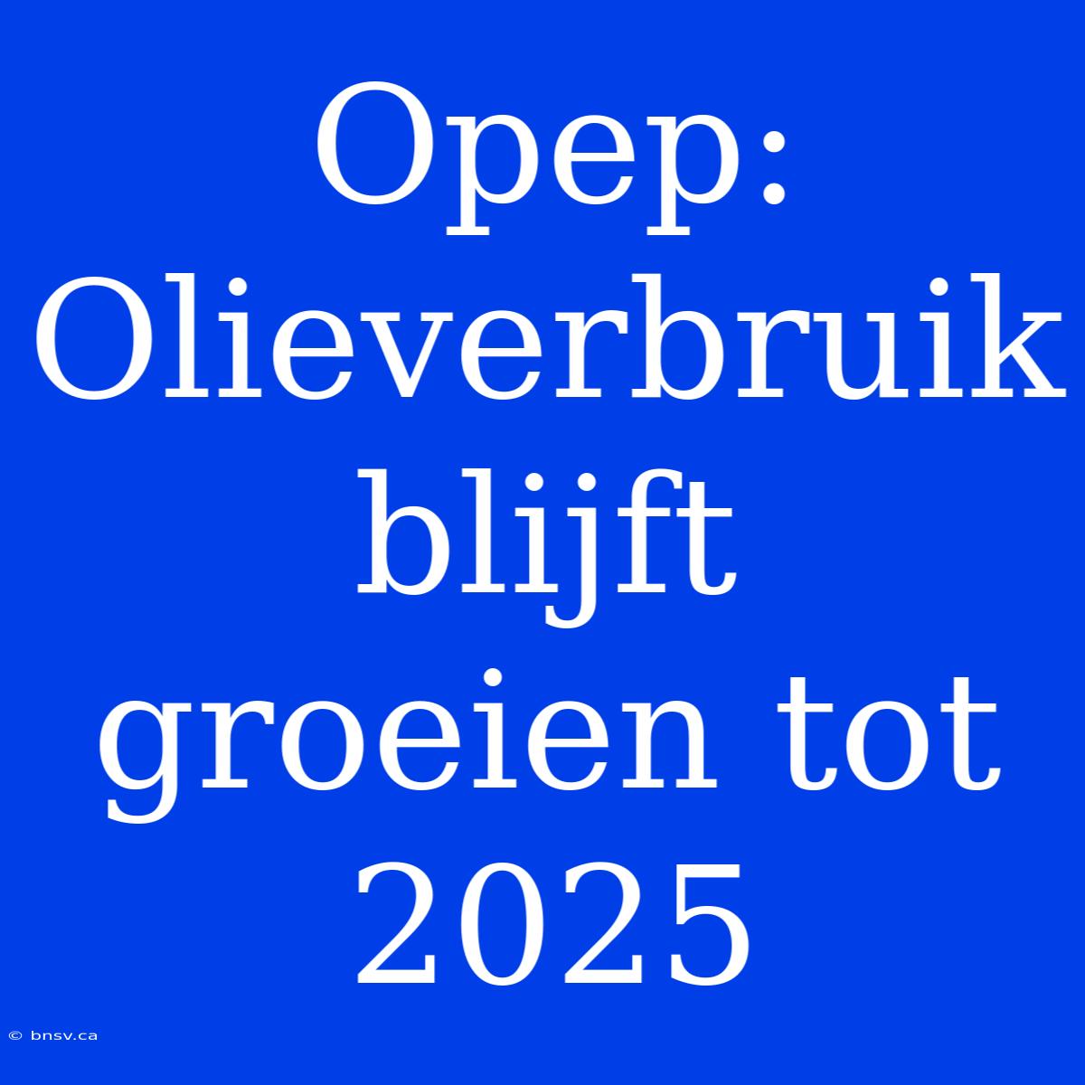 Opep: Olieverbruik Blijft Groeien Tot 2025