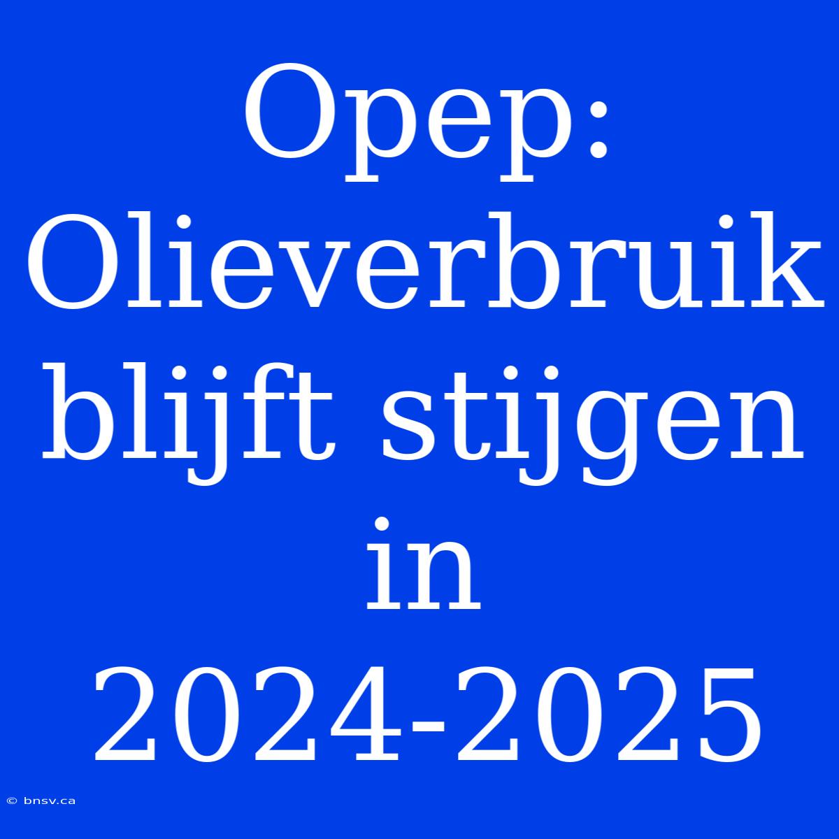 Opep: Olieverbruik Blijft Stijgen In 2024-2025