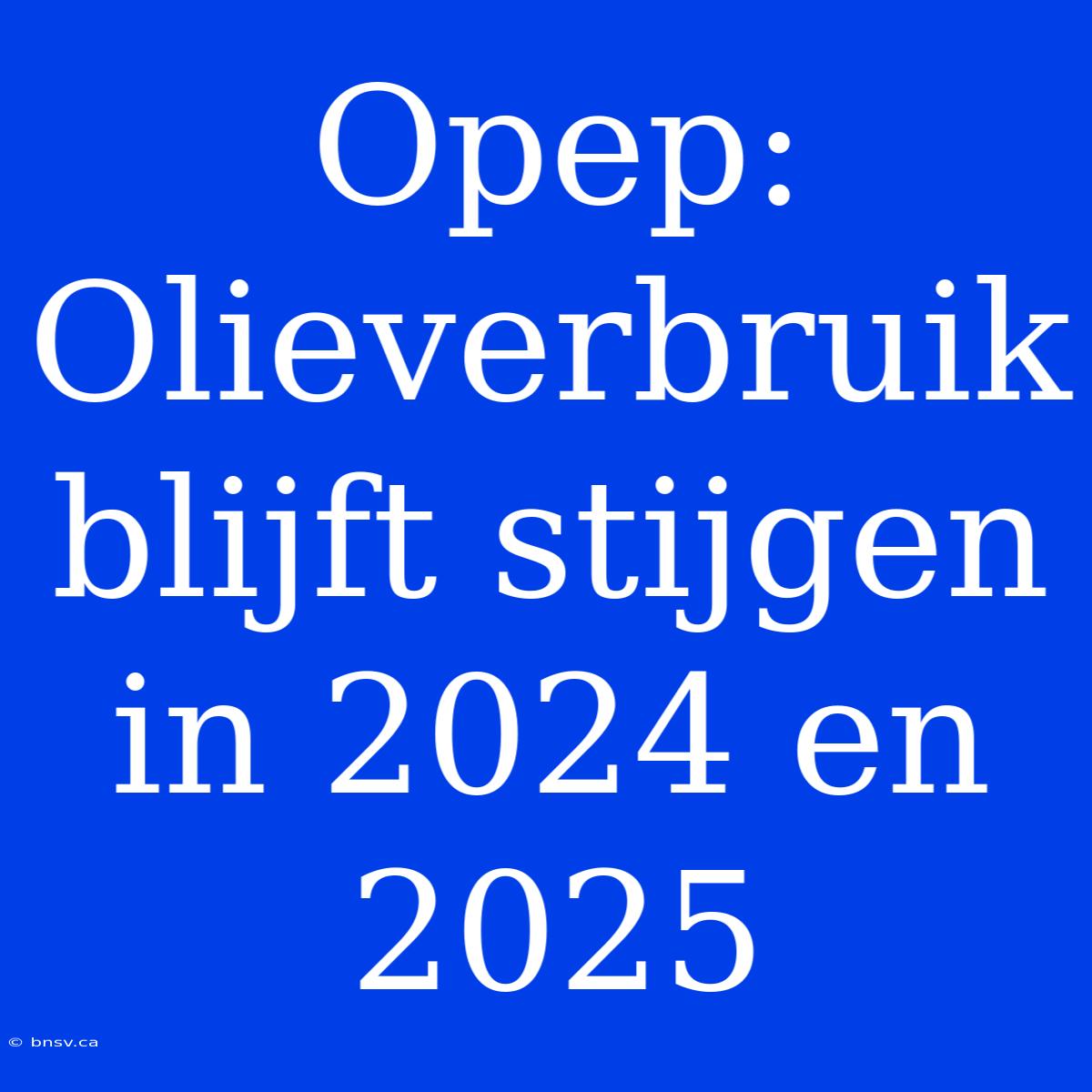 Opep: Olieverbruik Blijft Stijgen In 2024 En 2025