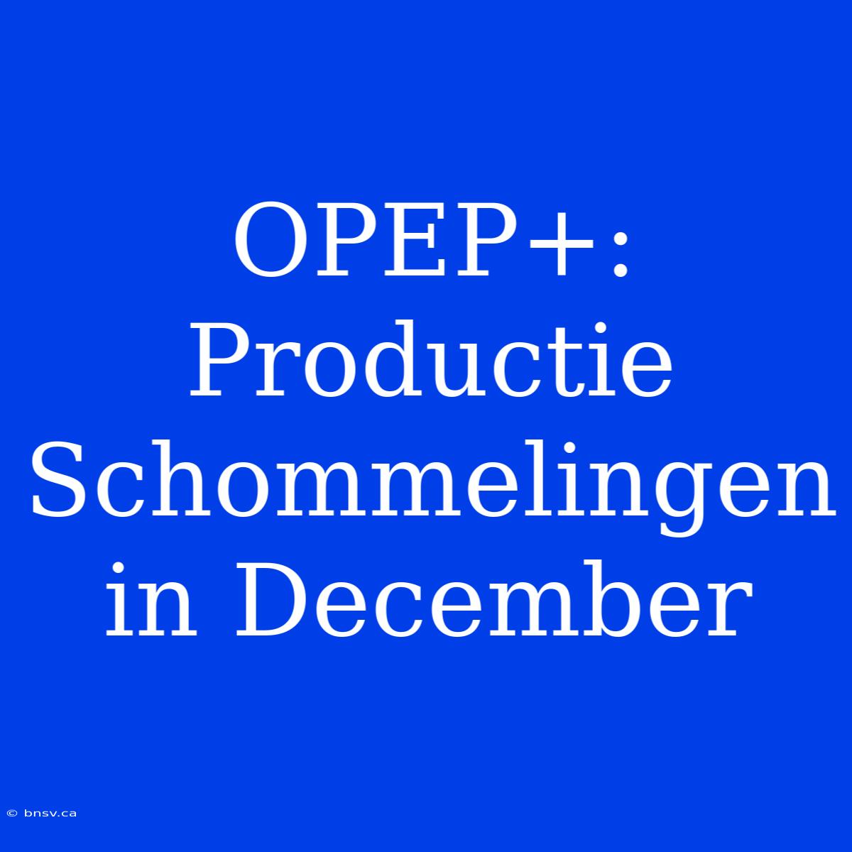 OPEP+: Productie Schommelingen In December