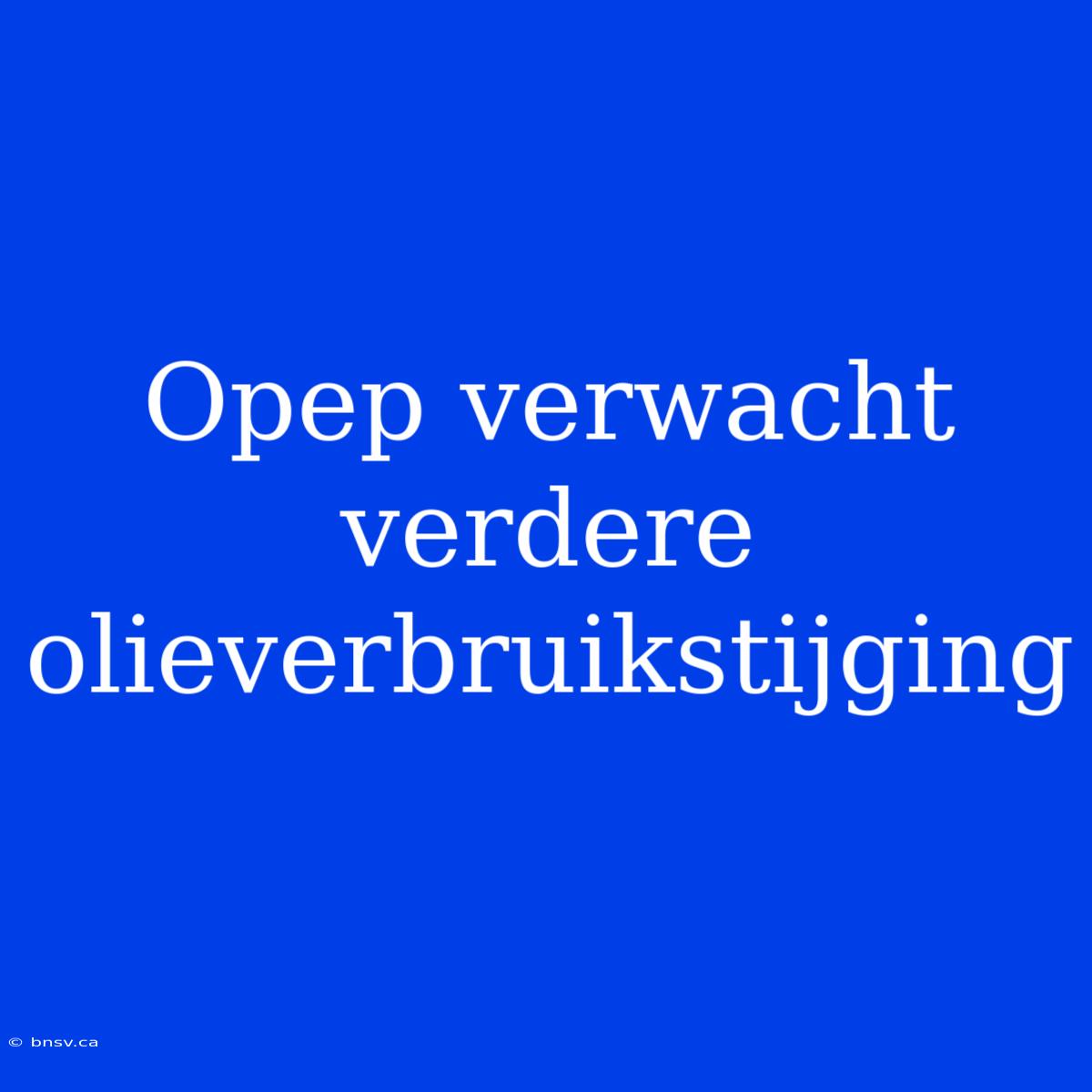 Opep Verwacht Verdere Olieverbruikstijging