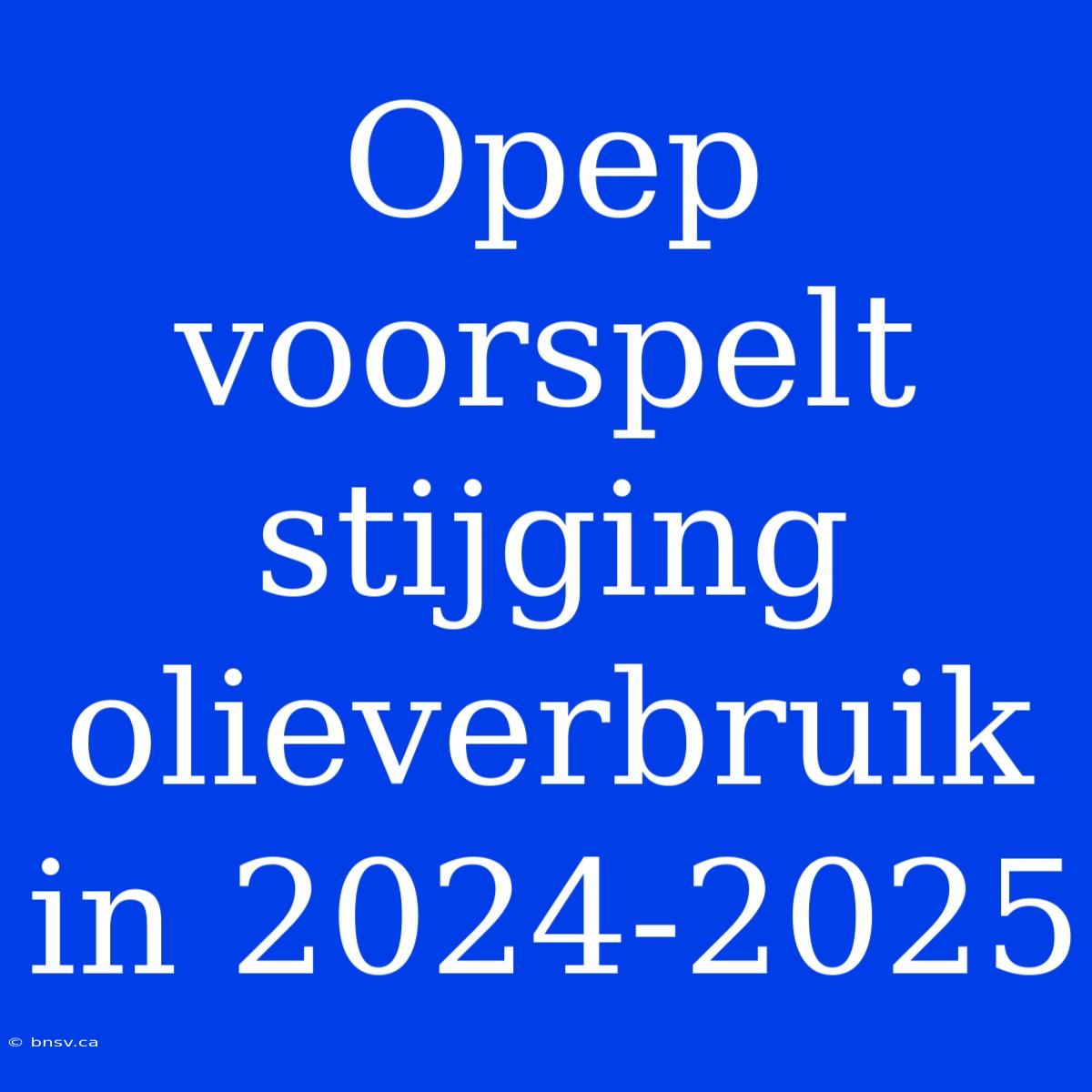 Opep Voorspelt Stijging Olieverbruik In 2024-2025