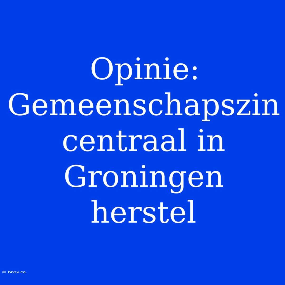 Opinie: Gemeenschapszin Centraal In Groningen Herstel