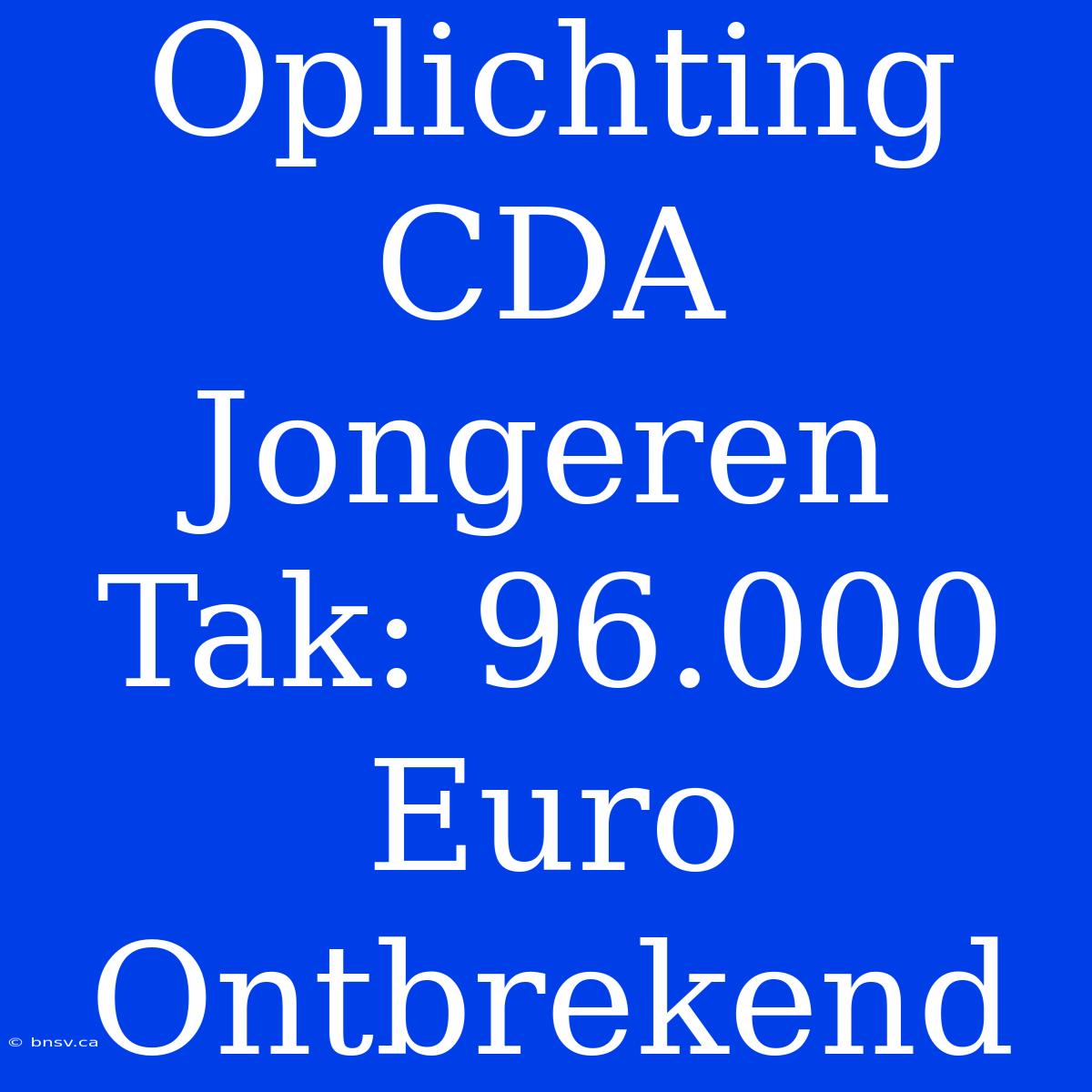 Oplichting CDA Jongeren Tak: 96.000 Euro Ontbrekend