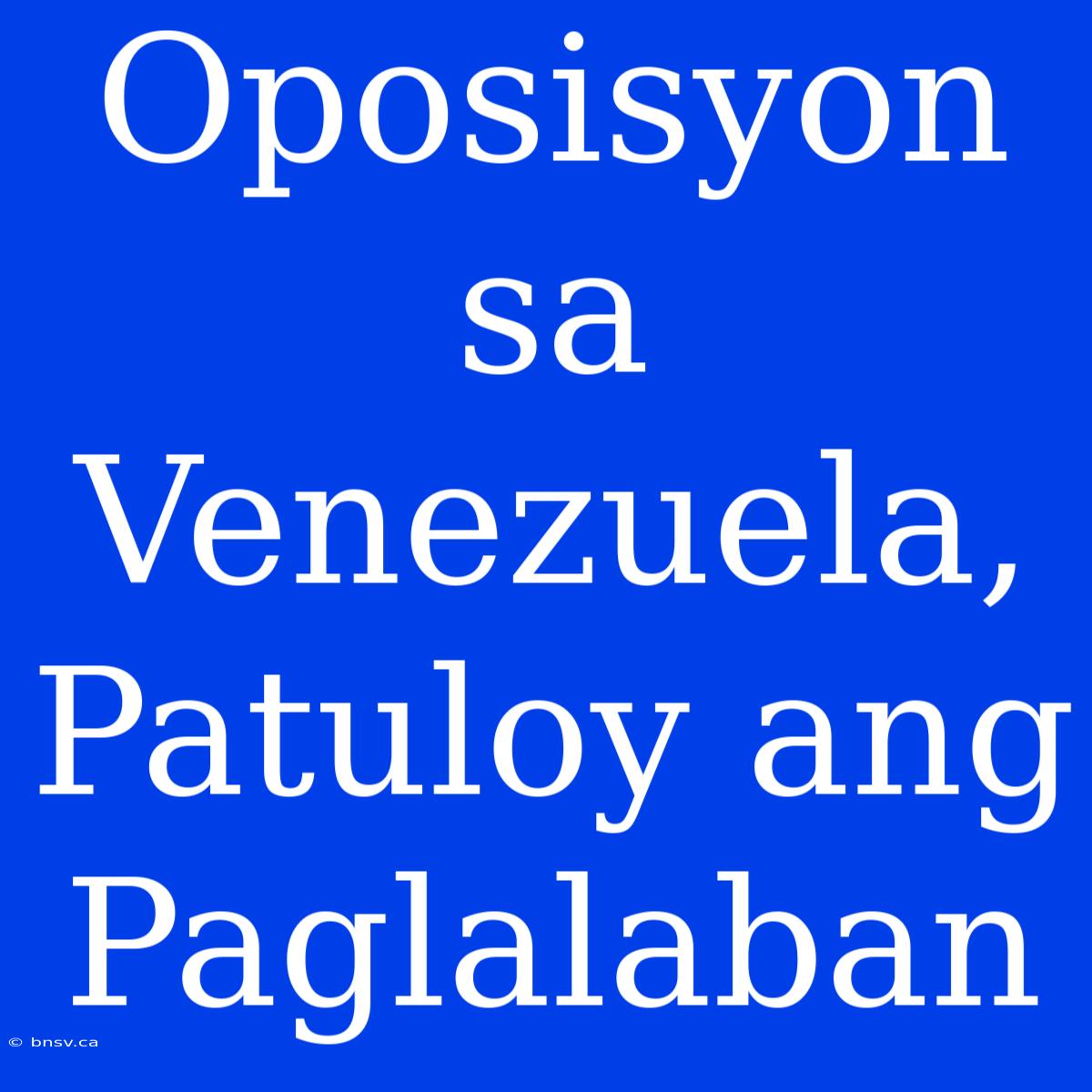 Oposisyon Sa Venezuela, Patuloy Ang Paglalaban