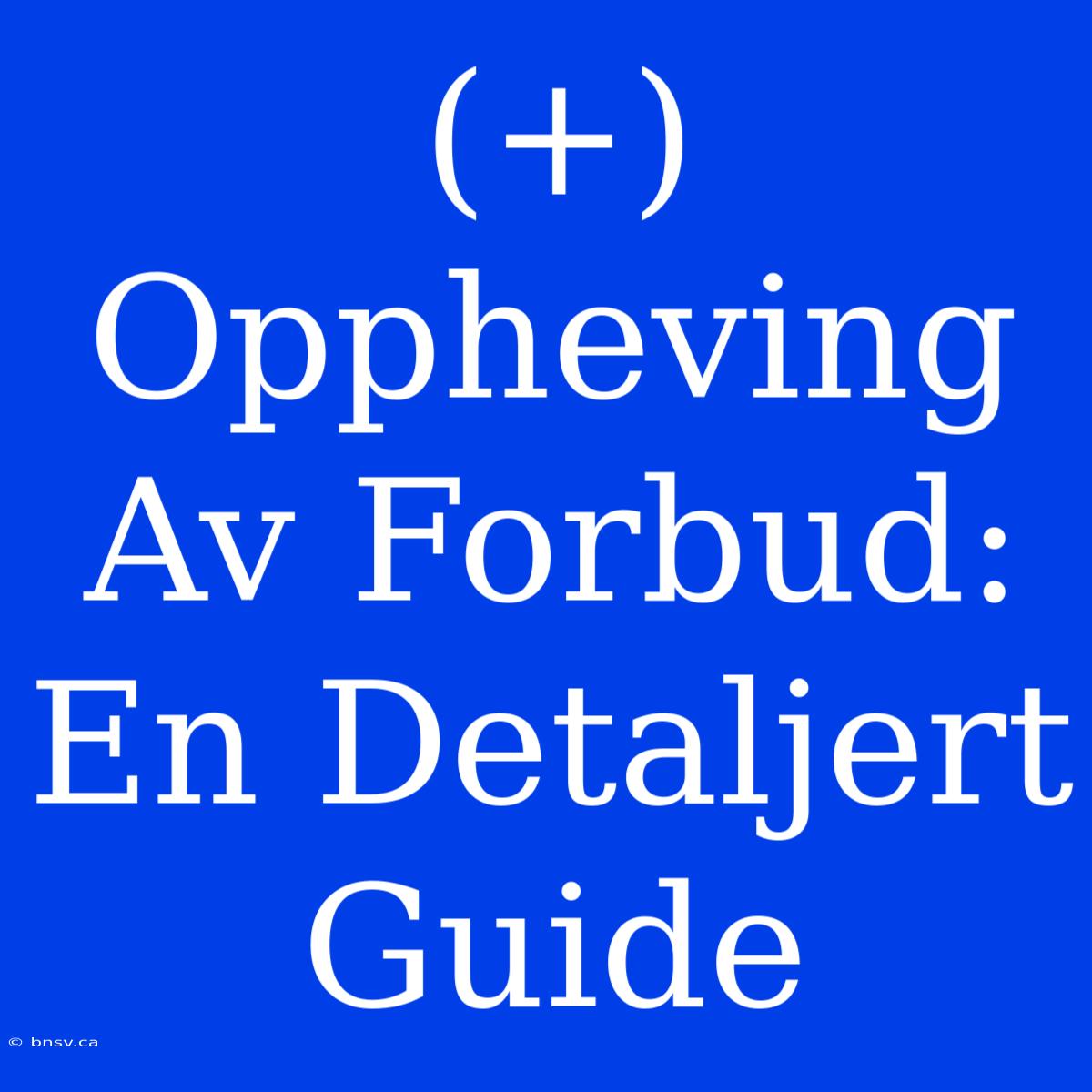 (+) Oppheving Av Forbud: En Detaljert Guide