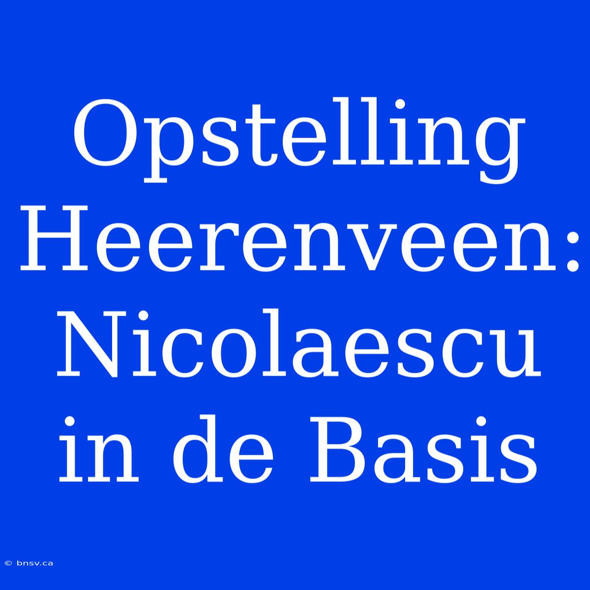 Opstelling Heerenveen: Nicolaescu In De Basis