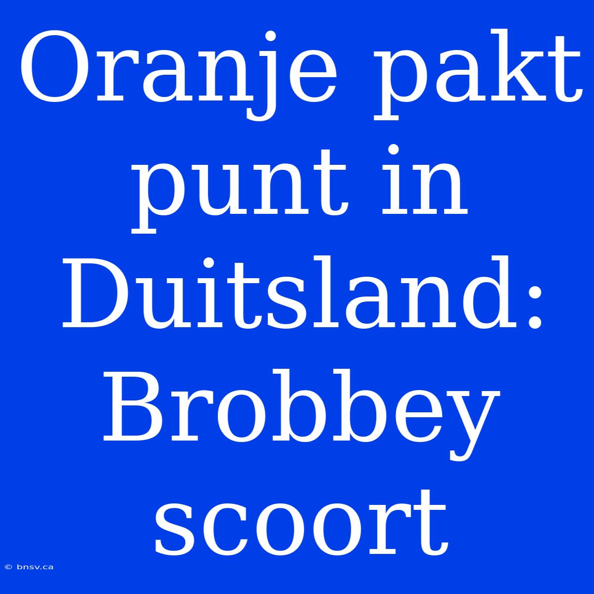 Oranje Pakt Punt In Duitsland: Brobbey Scoort