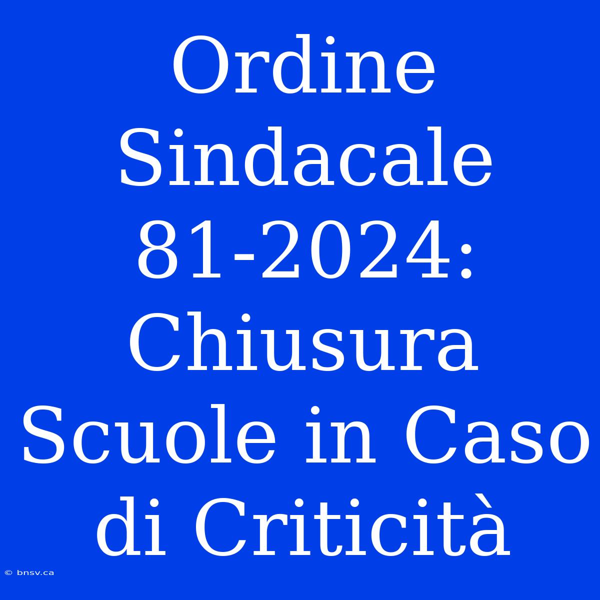 Ordine Sindacale 81-2024: Chiusura Scuole In Caso Di Criticità