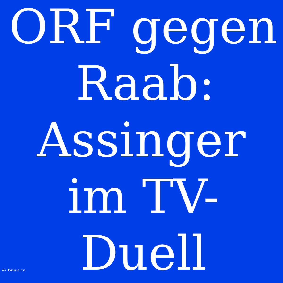 ORF Gegen Raab: Assinger Im TV-Duell