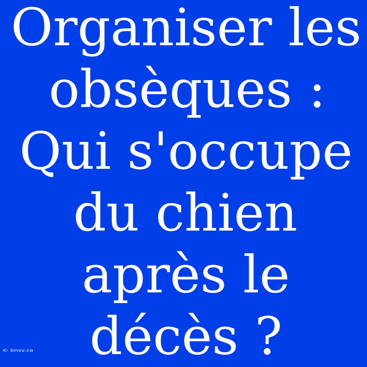 Organiser Les Obsèques : Qui S'occupe Du Chien Après Le Décès ?