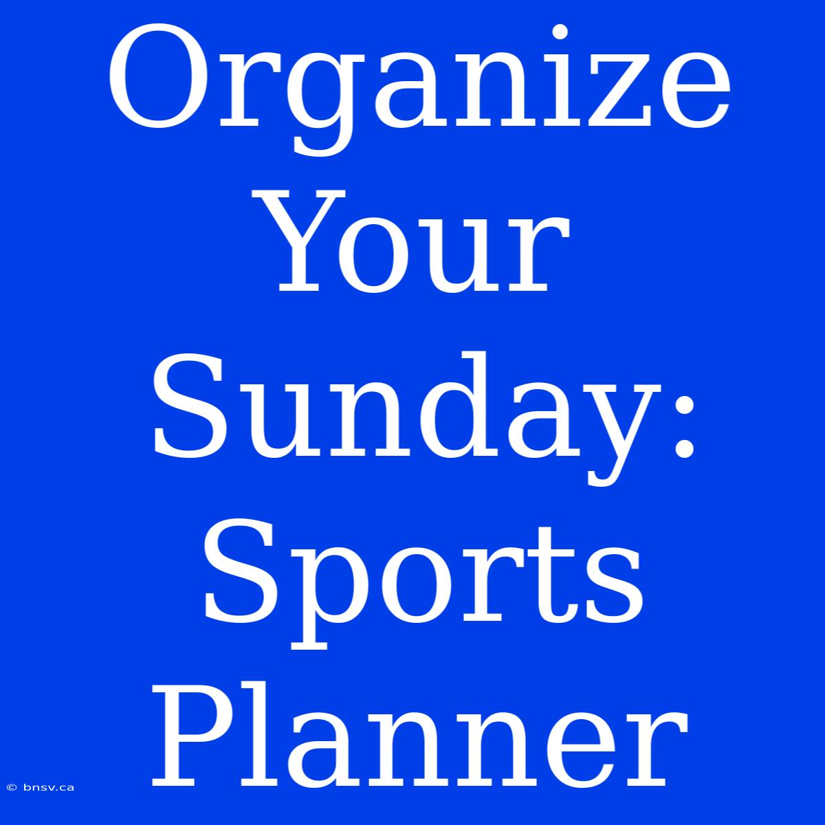 Organize Your Sunday: Sports Planner