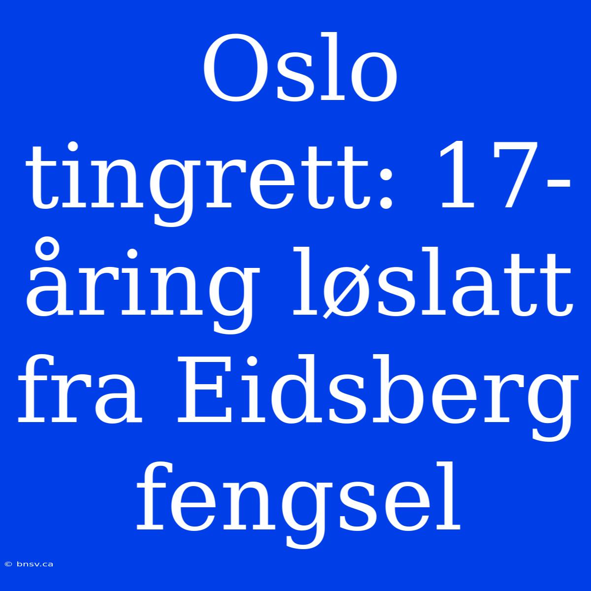 Oslo Tingrett: 17-åring Løslatt Fra Eidsberg Fengsel