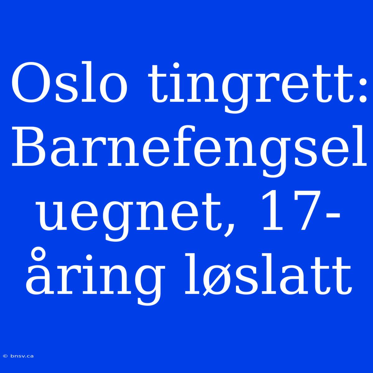 Oslo Tingrett: Barnefengsel Uegnet, 17-åring Løslatt