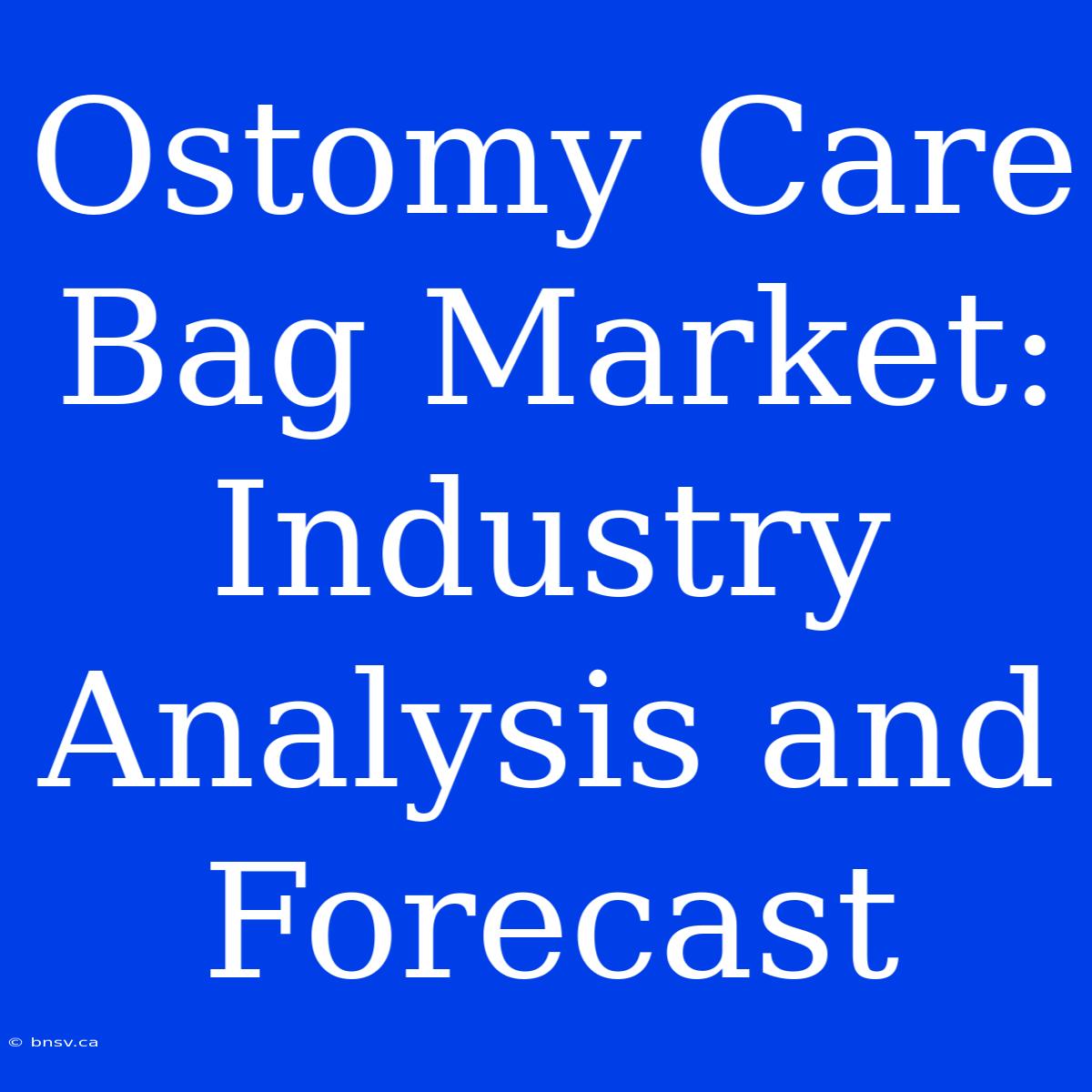 Ostomy Care Bag Market: Industry Analysis And Forecast