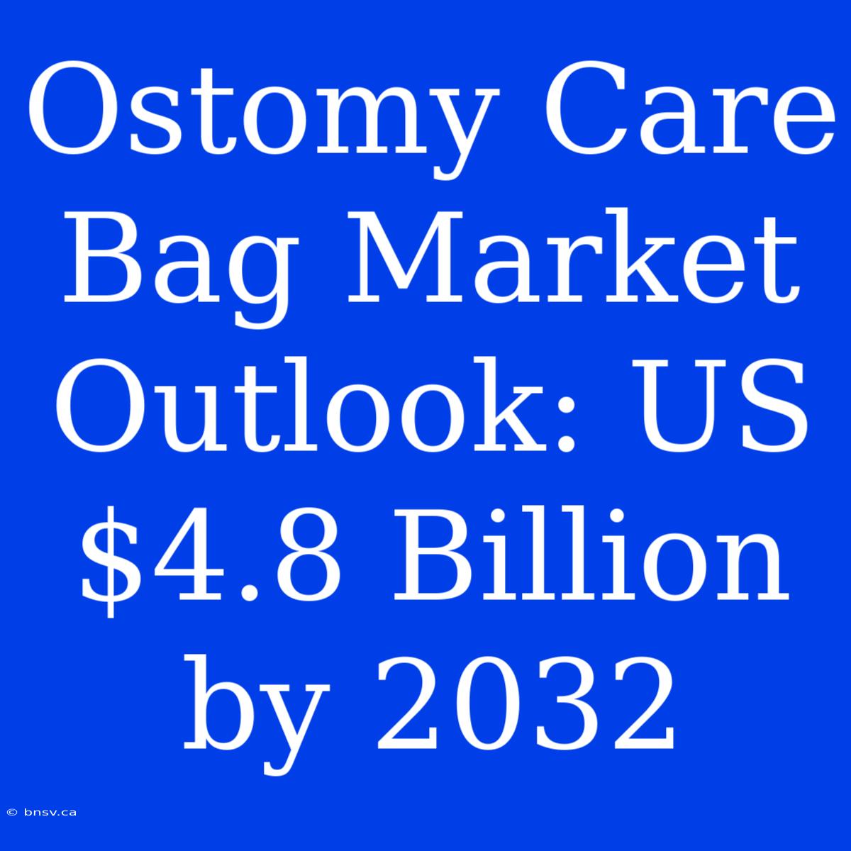 Ostomy Care Bag Market Outlook: US$4.8 Billion By 2032