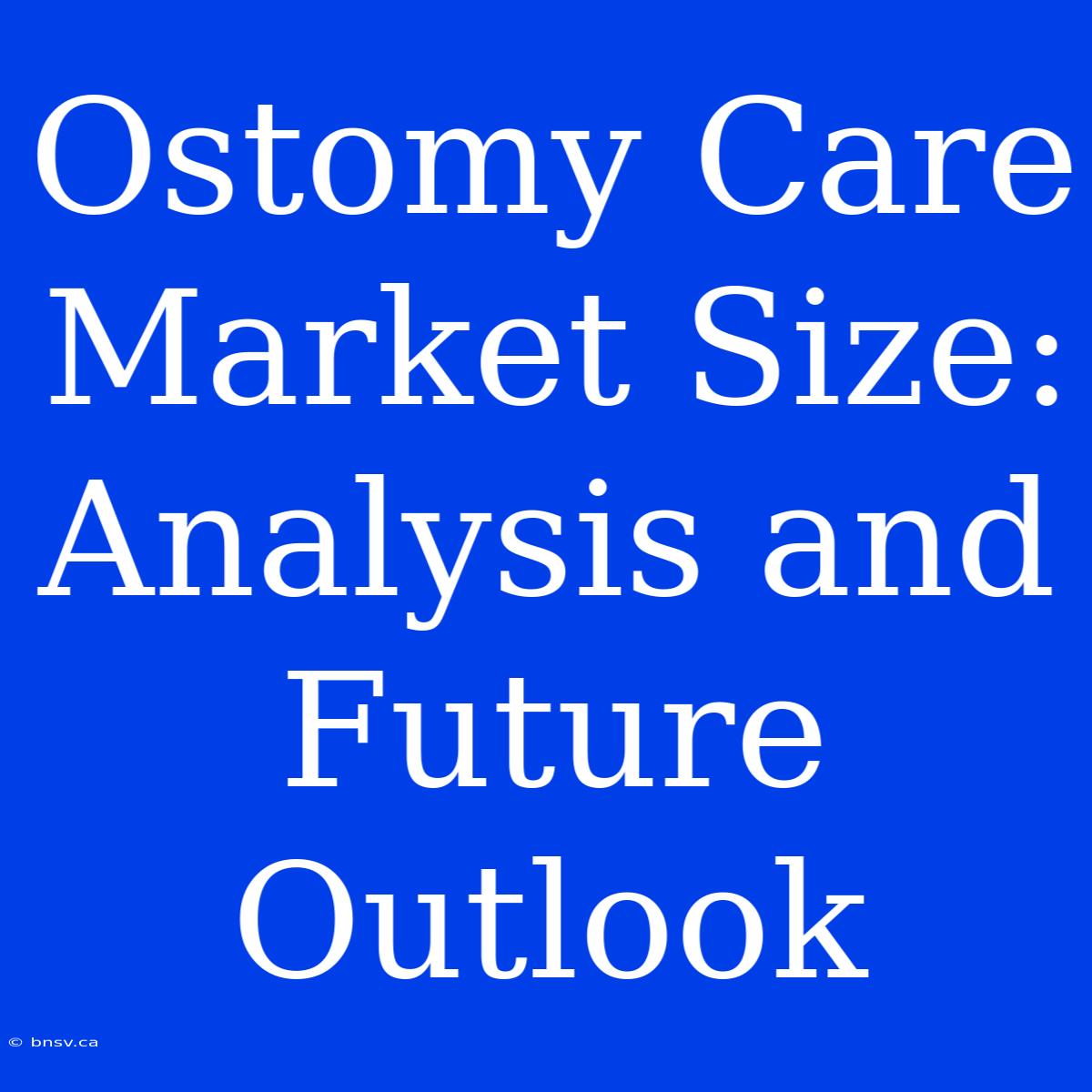 Ostomy Care Market Size: Analysis And Future Outlook