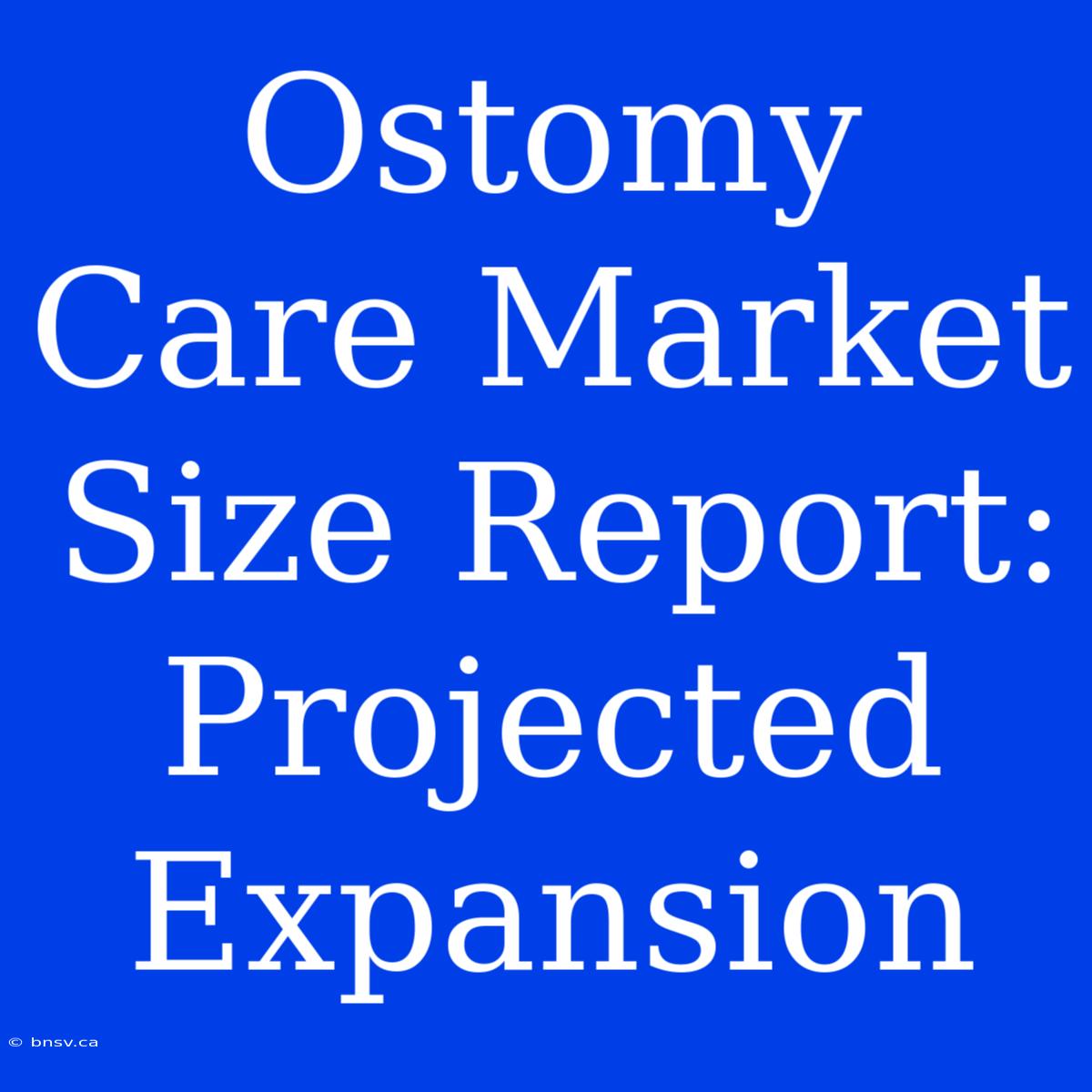 Ostomy Care Market Size Report: Projected Expansion