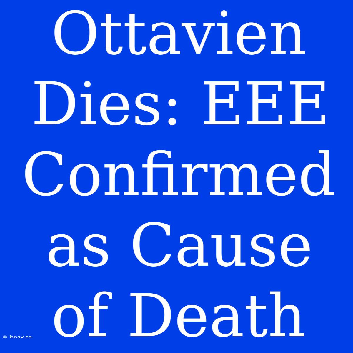 Ottavien Dies: EEE Confirmed As Cause Of Death