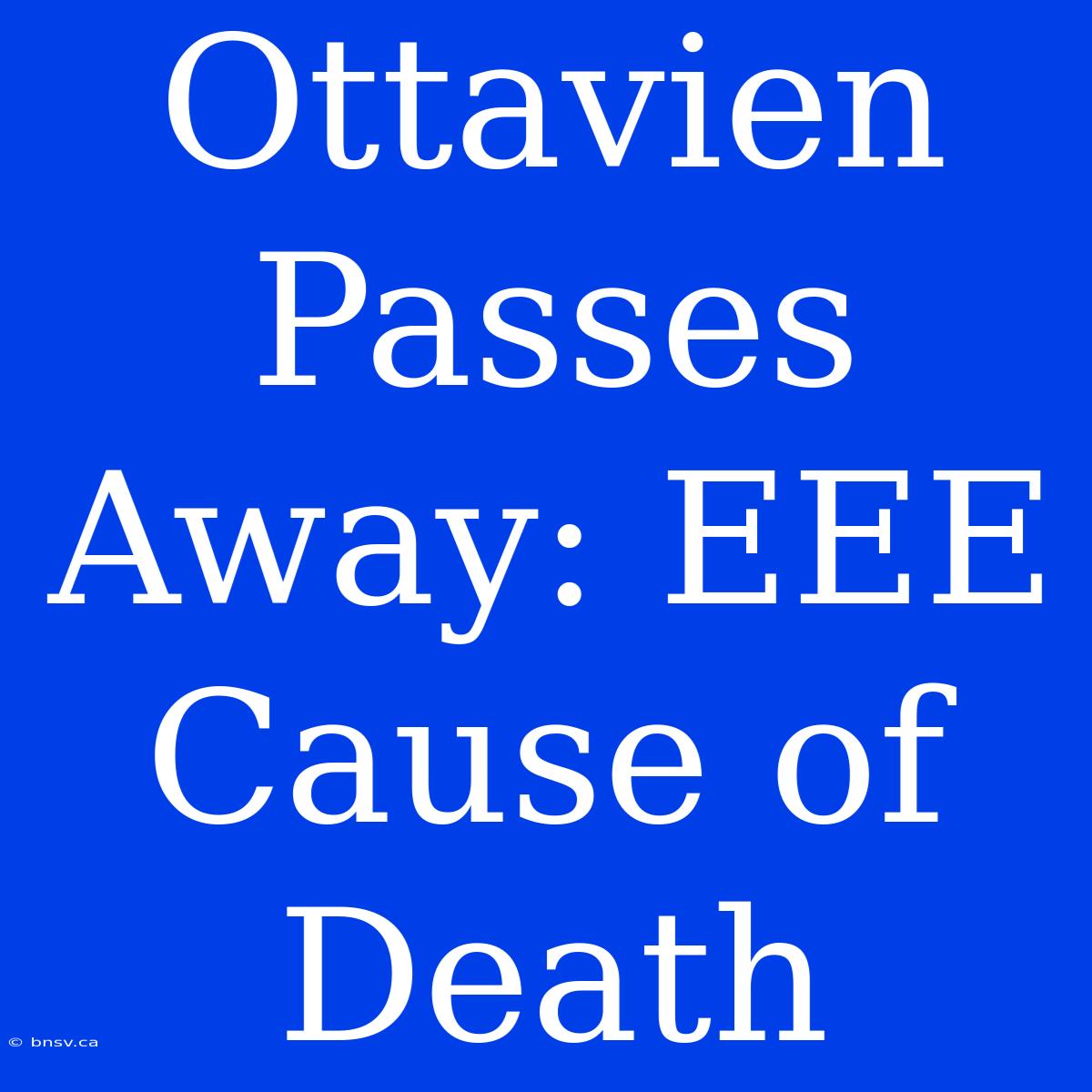 Ottavien Passes Away: EEE Cause Of Death