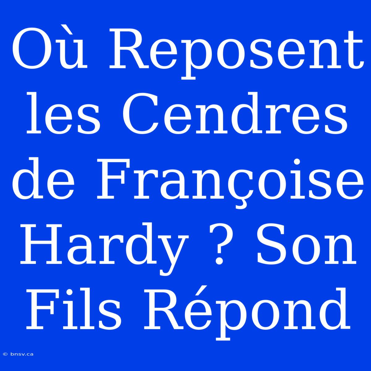 Où Reposent Les Cendres De Françoise Hardy ? Son Fils Répond