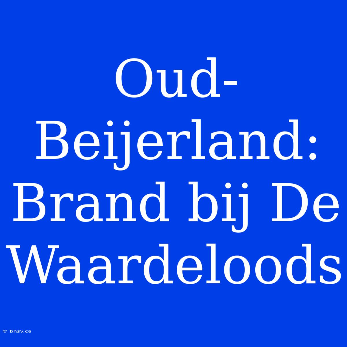 Oud-Beijerland: Brand Bij De Waardeloods