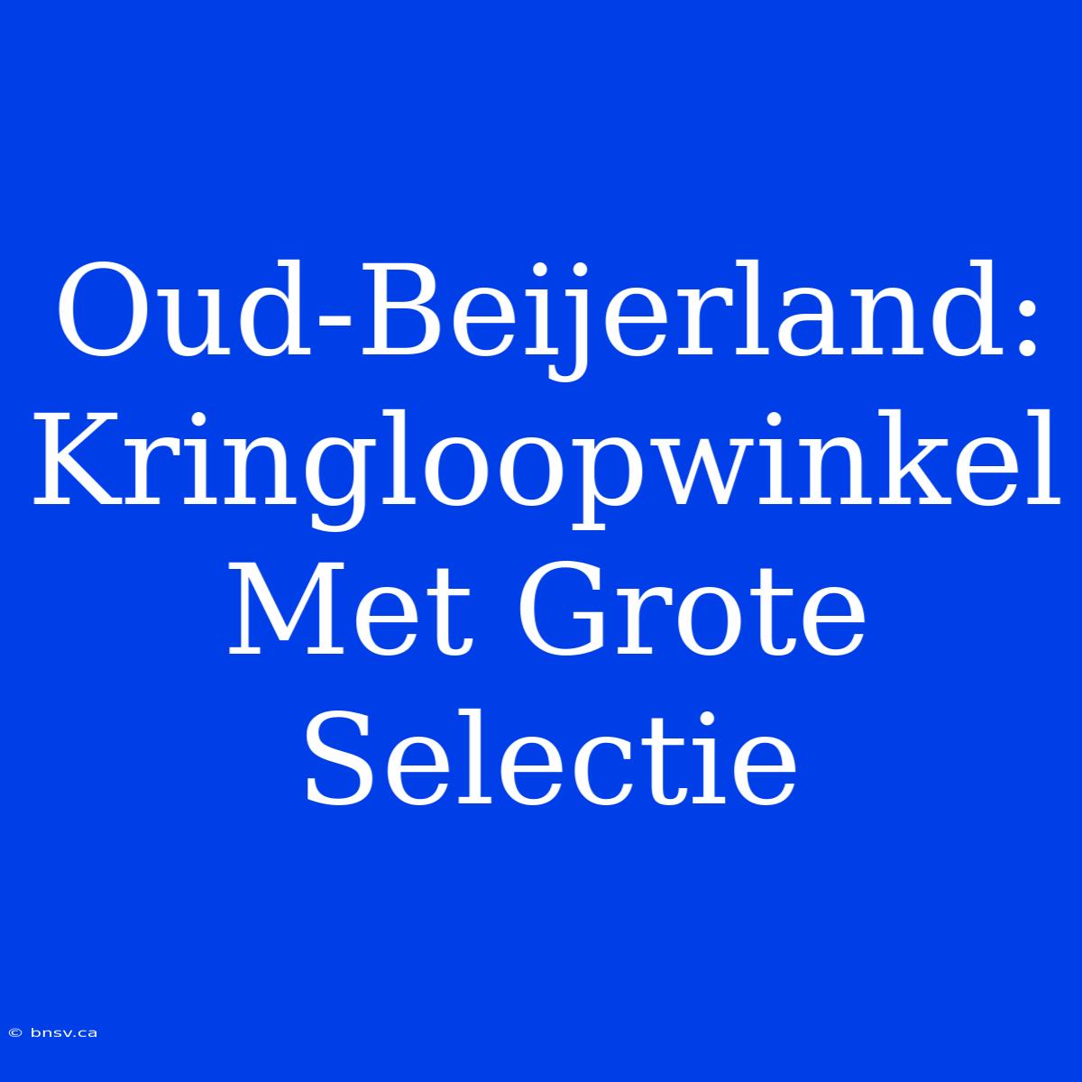 Oud-Beijerland: Kringloopwinkel Met Grote Selectie