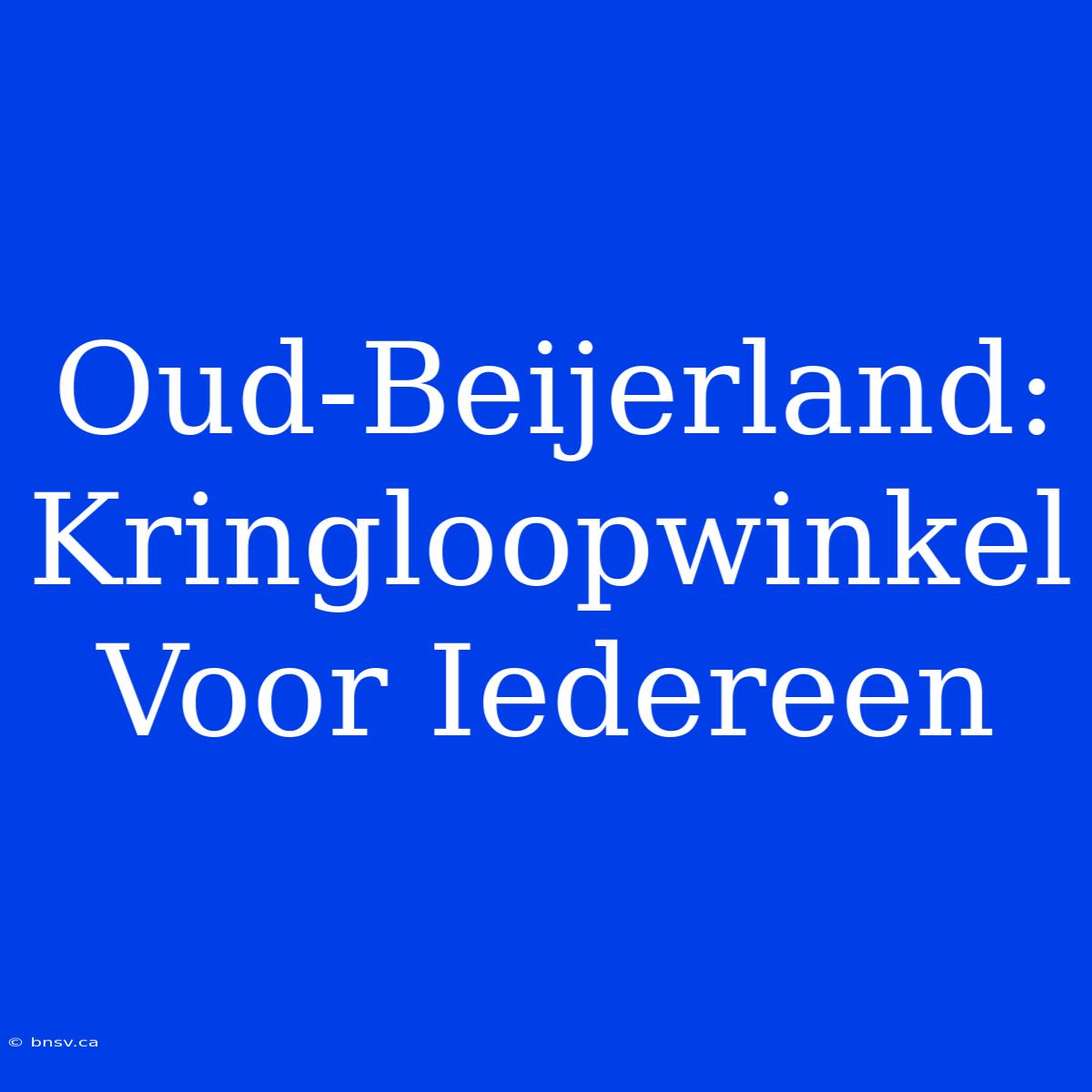 Oud-Beijerland: Kringloopwinkel Voor Iedereen