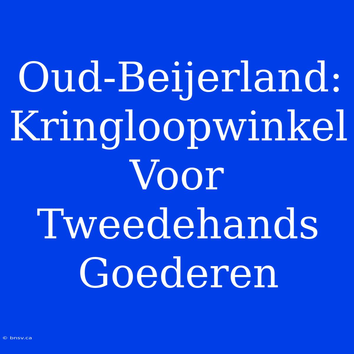 Oud-Beijerland: Kringloopwinkel Voor Tweedehands Goederen