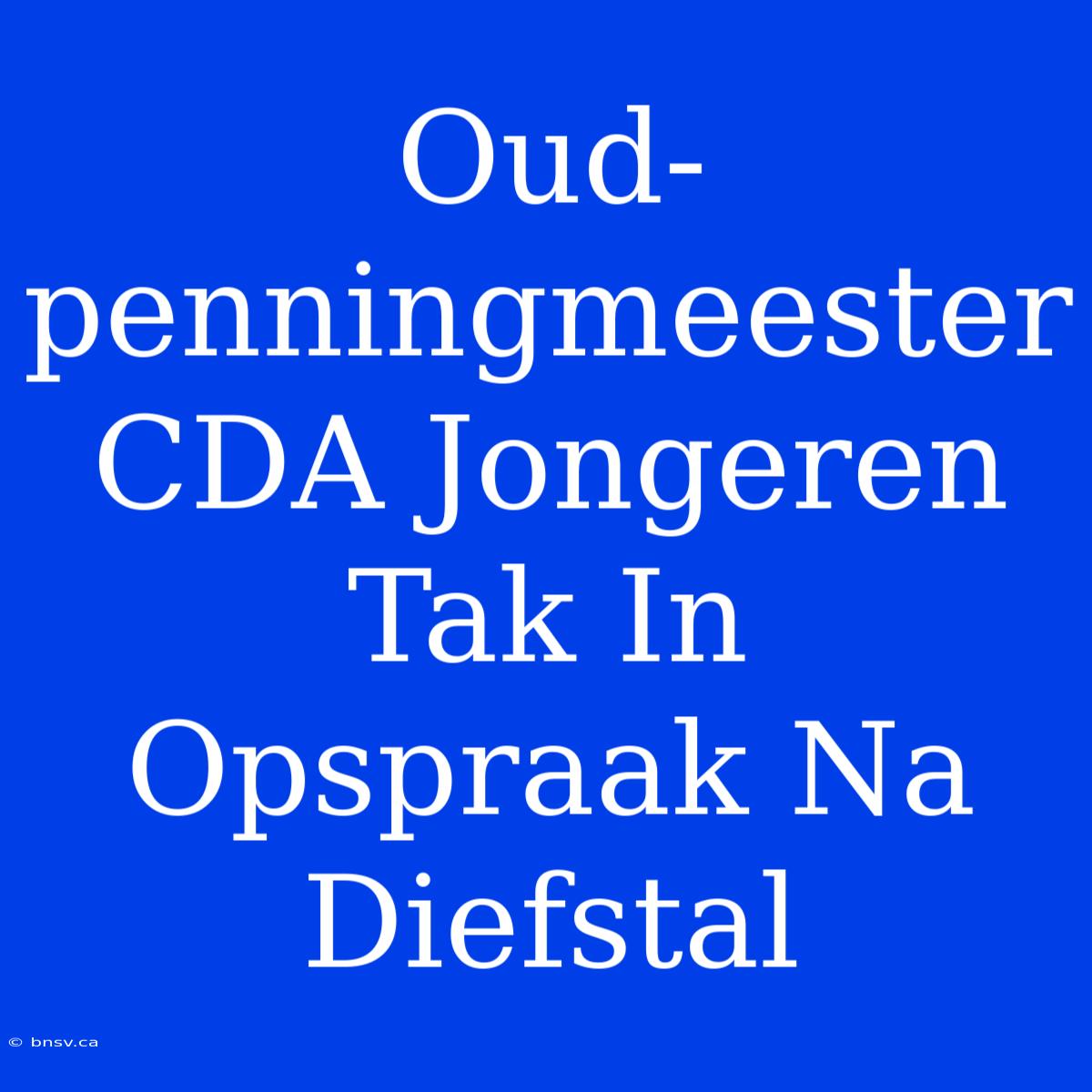 Oud-penningmeester CDA Jongeren Tak In Opspraak Na Diefstal