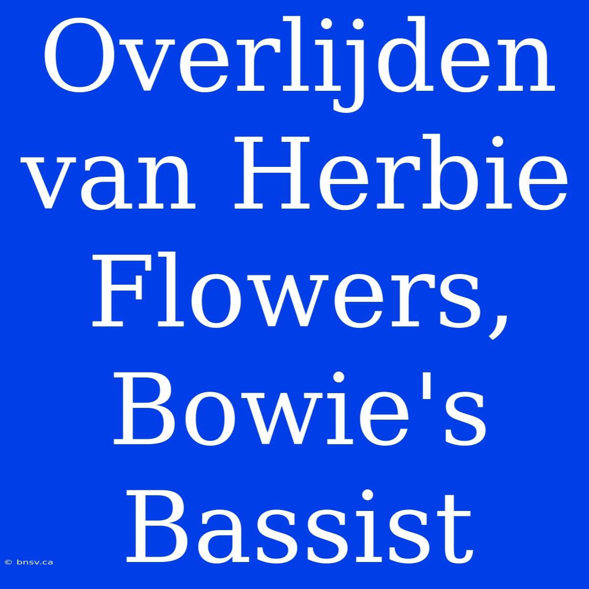 Overlijden Van Herbie Flowers, Bowie's Bassist