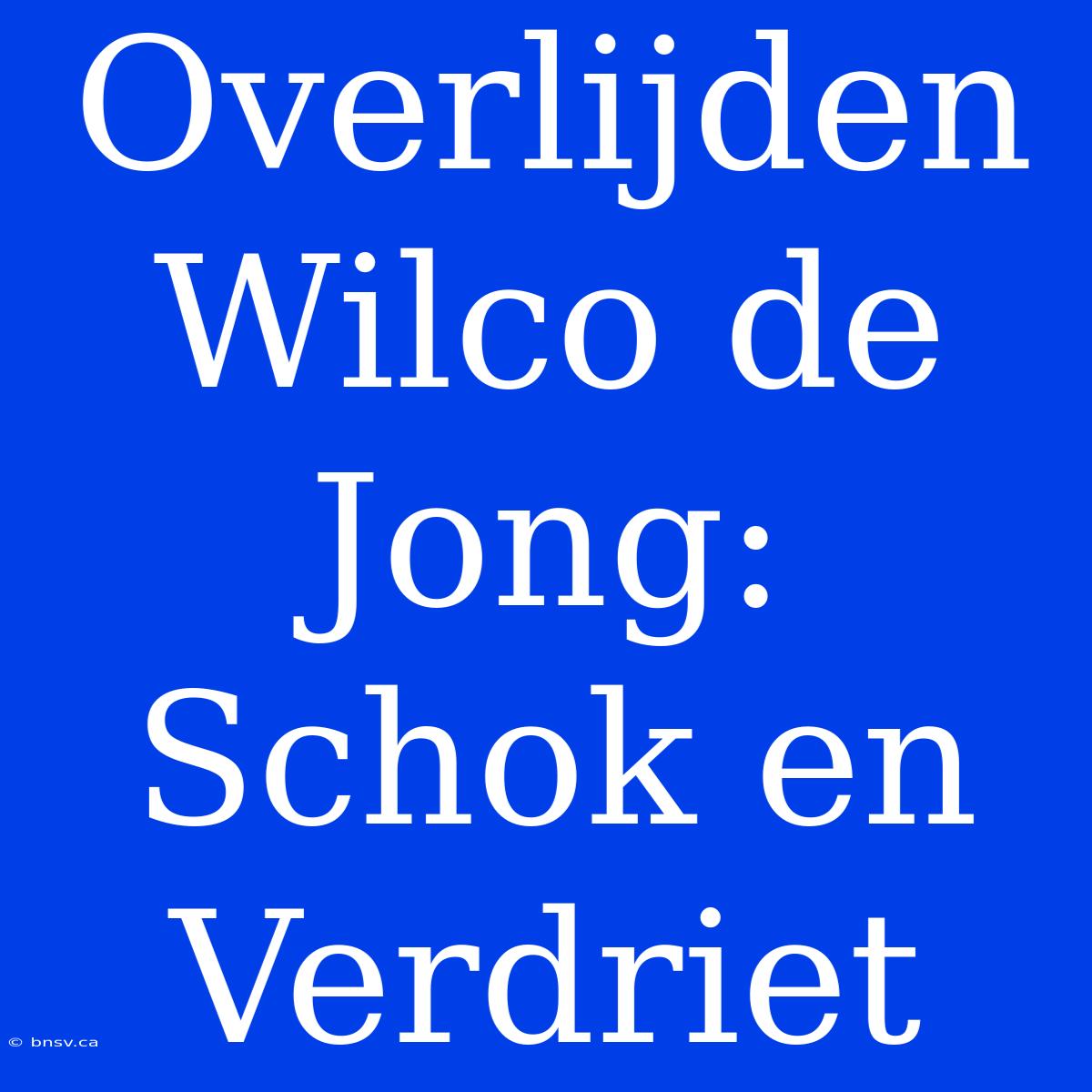 Overlijden Wilco De Jong: Schok En Verdriet