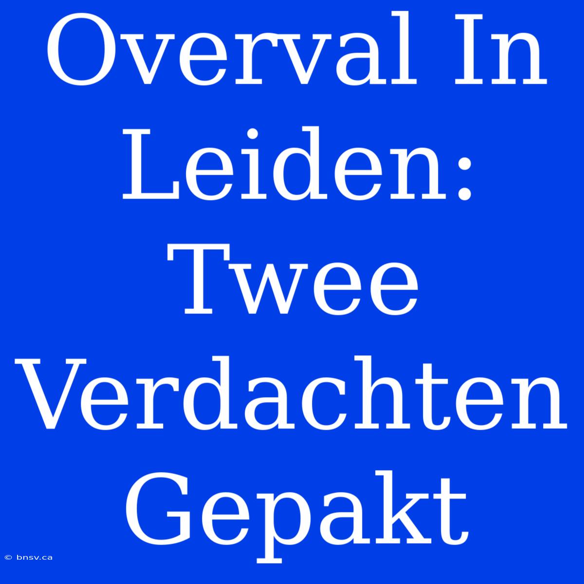 Overval In Leiden: Twee Verdachten Gepakt