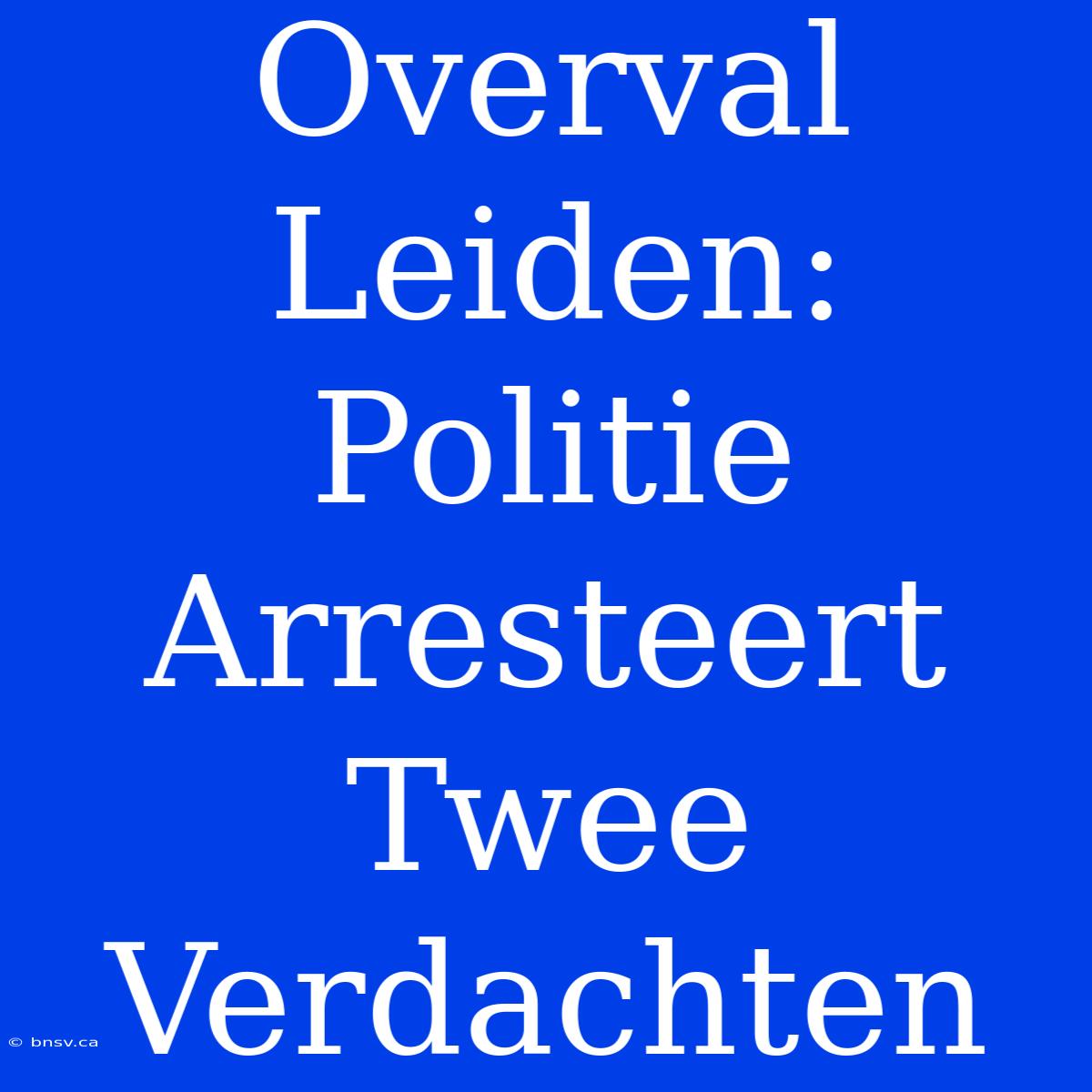 Overval Leiden: Politie Arresteert Twee Verdachten