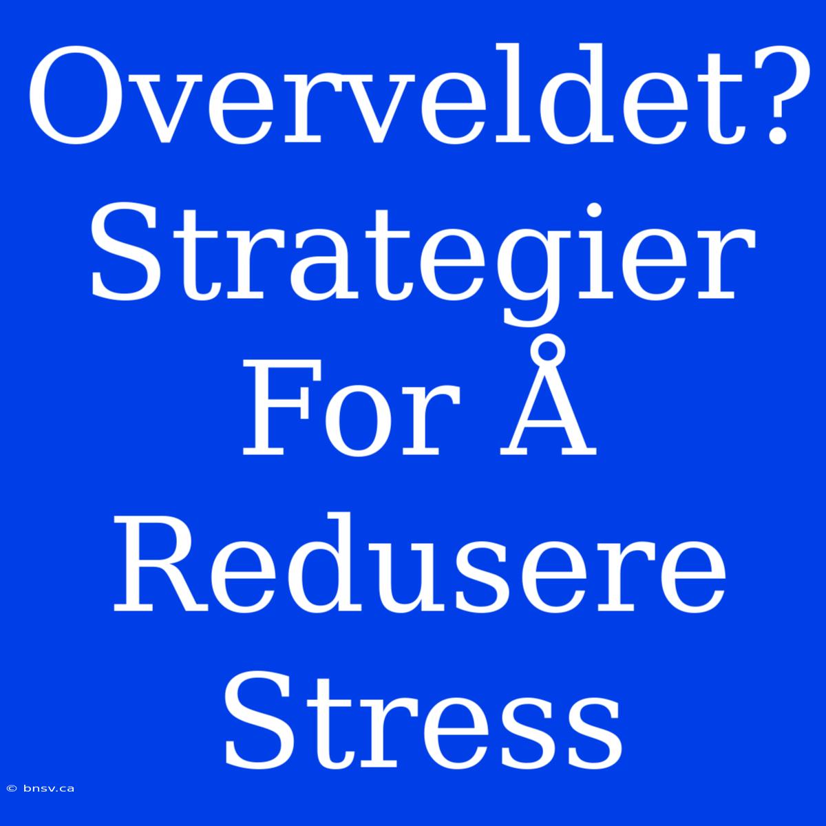 Overveldet? Strategier For Å Redusere Stress