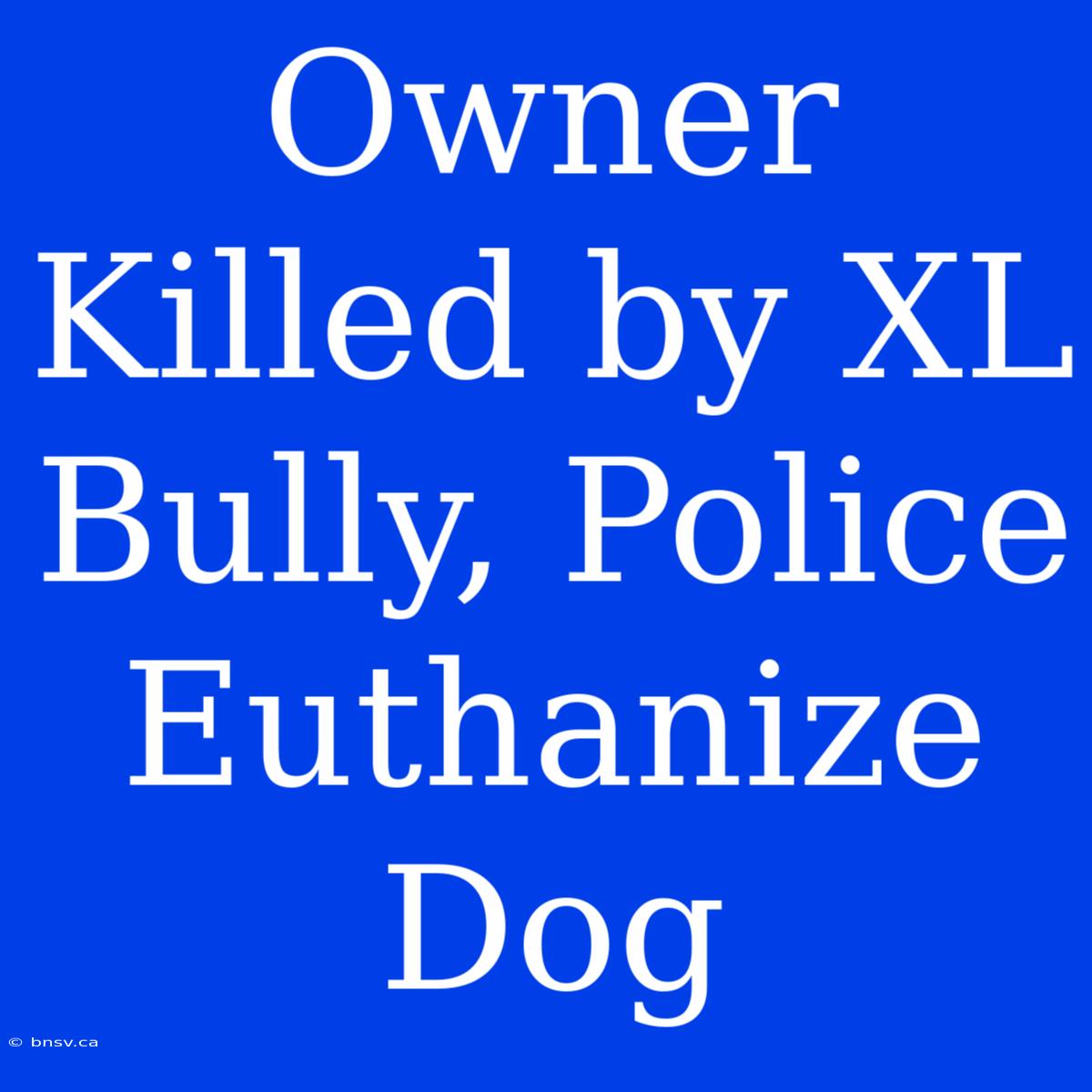 Owner Killed By XL Bully, Police Euthanize Dog